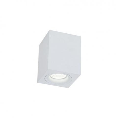 Накладной светильник Maytoni Alfa C013CL-01W