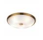 Настенно-потолочный светильник Odeon Light Pelow 4956/5