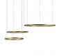 Подвесной светильник Loft IT Ring 10017/3L