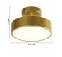 Потолочный светильник Favourite Atma 3059-2P